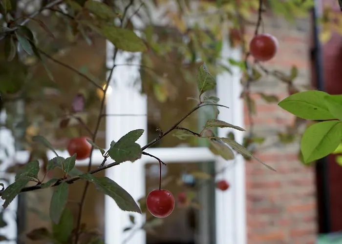 Luxury London House Sleeps 13, 2 Minutes To Metro Villa
